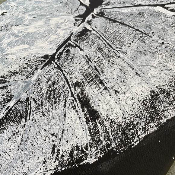 Elephant ear botanical press prints 🌱 - Picture 5 of 6